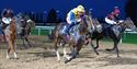 Evening Flat Racing at Southwell Racecourse
