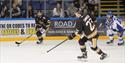 The Nottingham Panthers | Visit Nottinghamshire