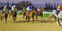 Evening Flat Racing at Southwell Racecourse
