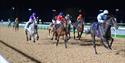 Evening Flat Racing at Southwell Racecourse
