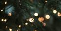 Christmas Market with Fabulous Places at Norwood Park
