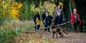 Central Bark dog-friendly Café
