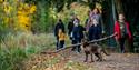 Central Bark dog-friendly Café
