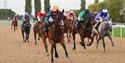 Evening Flat Racing at Southwell Racecourse
