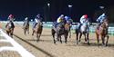 Evening Flat Racing at Southwell Racecourse
