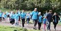 Alzheimer's Memory Walk