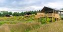 Birdholme Wood Glamping, Nottingham. Photos by Alex Wilkinson Media
