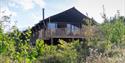 Birdholme Wood Glamping, Nottingham. Photos by Alex Wilkinson Media