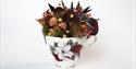 Christmas Teacup Floristry - Craft of the month November 2024 at Debbie Bryan
