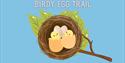 Birdy Egg Trail