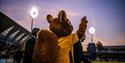 Photo of the squirrel mascot facing the crowd