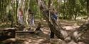 Sherwood Forest Visitor Centre & National Nature Reserve