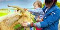 Twinlakes Family Theme Park
