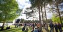 Forest Live Festival 2024 at Sherwood Pines
