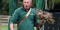 Go Active Falconry
