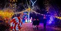 Conkers Winter Wonderland 2024
