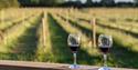 Vineyard Tour And Tastings
