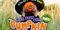 Pumpkin Picking