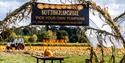 Nottinghamshire ‘Pick Your Own’ Pumpkins | Southwell
Credit David Allen