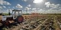 Nottinghamshire ‘Pick Your Own’ Pumpkins | Southwell
Credit David Allen