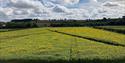 Nottinghamshire ‘Pick Your Own’ Pumpkins | Southwell