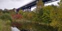 The Bennerley Viaduct Skywalk
