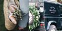 Spring Market with Fabulous Places
