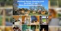 Southwell Retreat Glamping Pods

