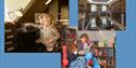 Images of Bromley House Library
