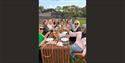 Vineyard Tour And Tastings
