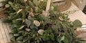 Seasonal Tablescape Workshop at Norwood Park
