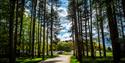 Sherwood Pines Camping in the Forest Site, Nottinghamshire