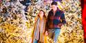 A couple walking through Christmas trees