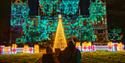 Wollaton Hall lit up in festive lights