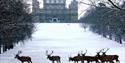 Wollaton Hall in the snow