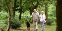 Sherwood Forest Visitor Centre & National Nature Reserve