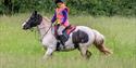 Derbyshire Pony Trekking