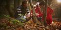 Forest Holidays | Visit Nottinghamshire