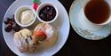 Josephine's Tea Room and Café | Visit Nottinghamshire