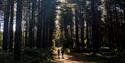 Sherwood Pines Camping in the Forest Site, Nottinghamshire