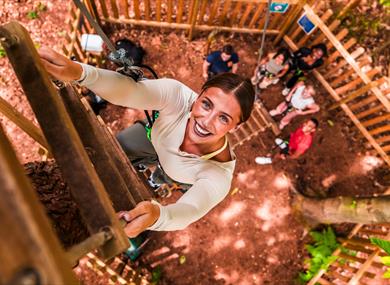 Go Ape at Sherwood Pines