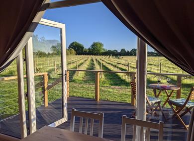 Wolds Wine Estate | Nottinghamshire