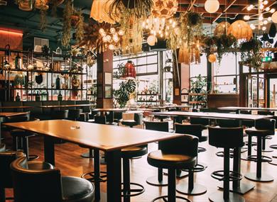 The Beeston Social
