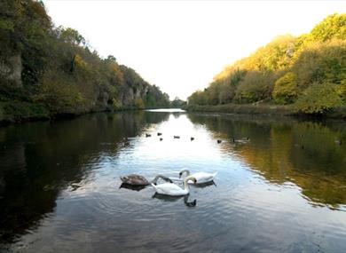 Creswell Crags, Nottinghamshire