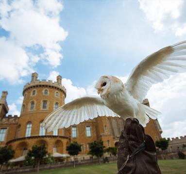 Belvoir Castle Landscape