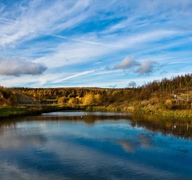 Gedling Country Park | Visit Nottinghamshire