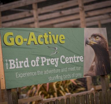 Go Active Falconry
