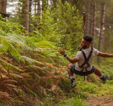 Go Ape at Sherwood Pines