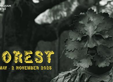 Forest exhibition