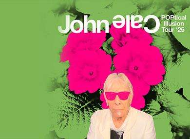 John Cale: POPtical Illusion Tour graphic